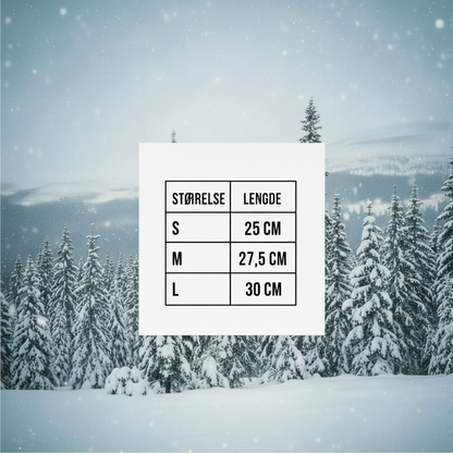 SkiProtect - Skikjøring uten smerte